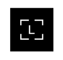 ledger
